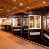 Grand Designs Show